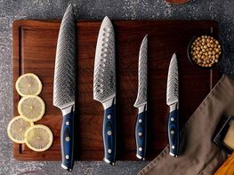 Seido Kanpeki Damascus 4-Piece Knife Set