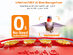 HummerHi Solar Powered Smart Hummingbird Feeder with Camera